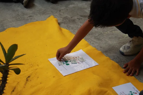 Primero Primaria Montessori Class